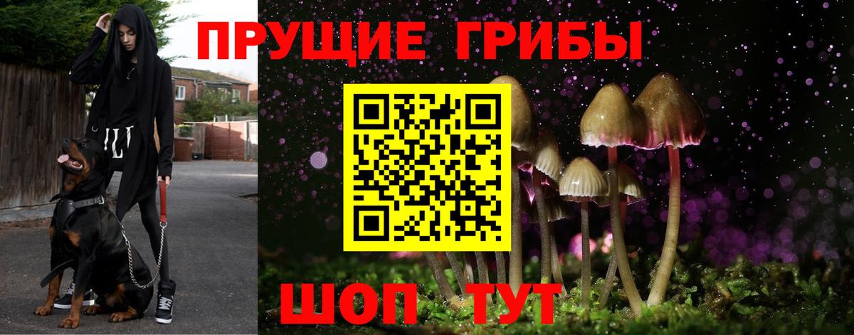 Псилоцибиновые грибы ЛСД Кропоткин